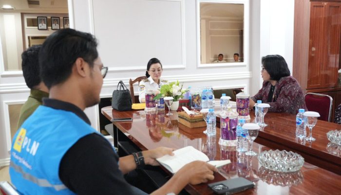 PLN Perluas Listrik Desa di Landak, Karolin Soroti Dusun Terpencil dan Meteran Gratis