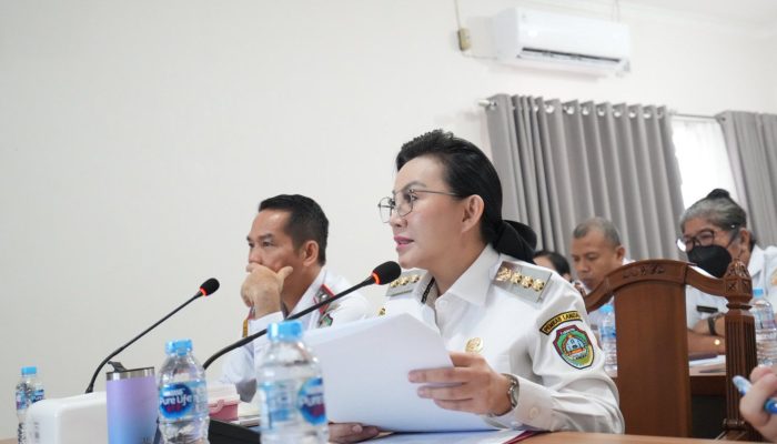 Karolin Minta Kemendagri Pertimbangkan Nasib PPPK di Landak