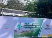 BAZNAS Salurkan Sedekah Pelanggan Alfamart, Hadirkan Kebahagiaan Idul Adha