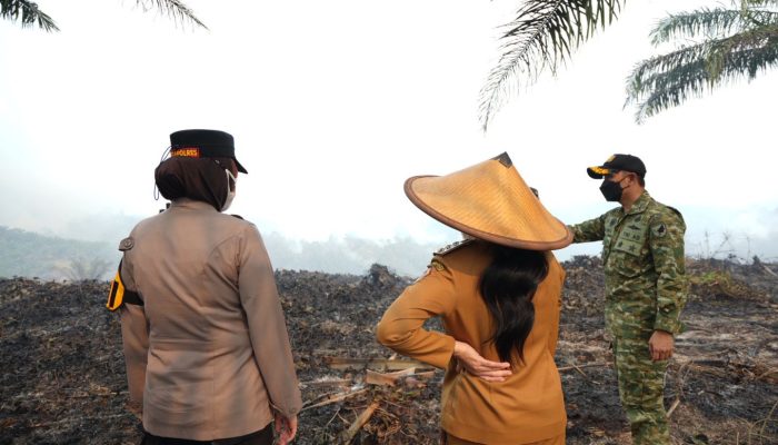 Tinjau Karhutla 50 Hektare di Landak, Karolin Cek Kesiapan Sekat Bakar