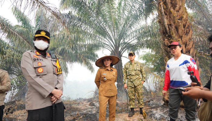 Kabut Asap Karhutla Kepung Permukiman, Bupati Landak Turun Tangan 