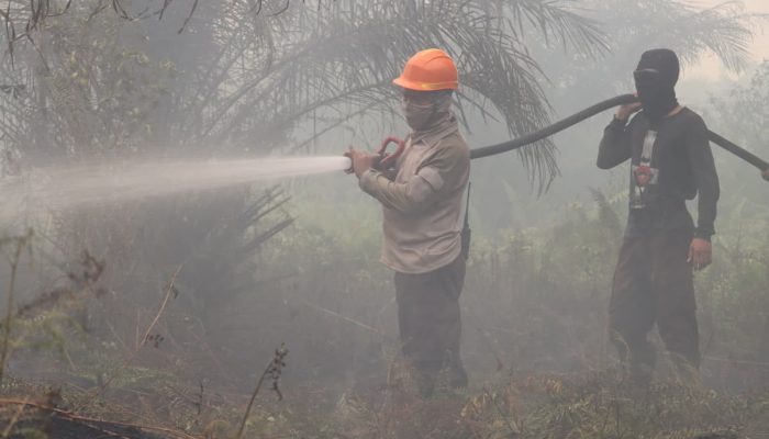 X-Fire Inovasi Taktis Polda Kalbar Padamkan Karhutla dan Tekan Asap di Lahan Gambut