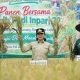 Panen Raya di Brinang Lesung, Karolin Soroti Pola Pikir Petani soal Benih Unggul