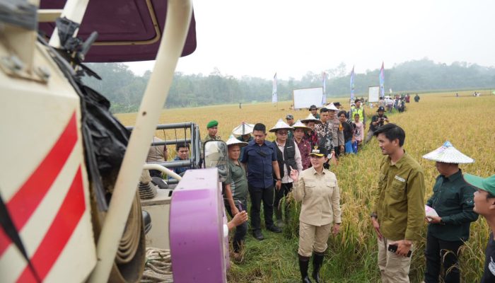 Bupati Landak Serahkan Bantuan Alat Tani di Banyuke Hulu Dusun Brinang Lesung